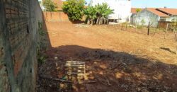 JARDIM DAS GREVILHAS – AVENIDA CORUJA – CIANORTE/PR