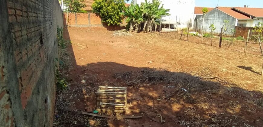 JARDIM DAS GREVILHAS – AVENIDA CORUJA – CIANORTE/PR