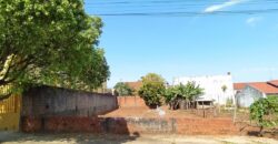 JARDIM DAS GREVILHAS – AVENIDA CORUJA – CIANORTE/PR