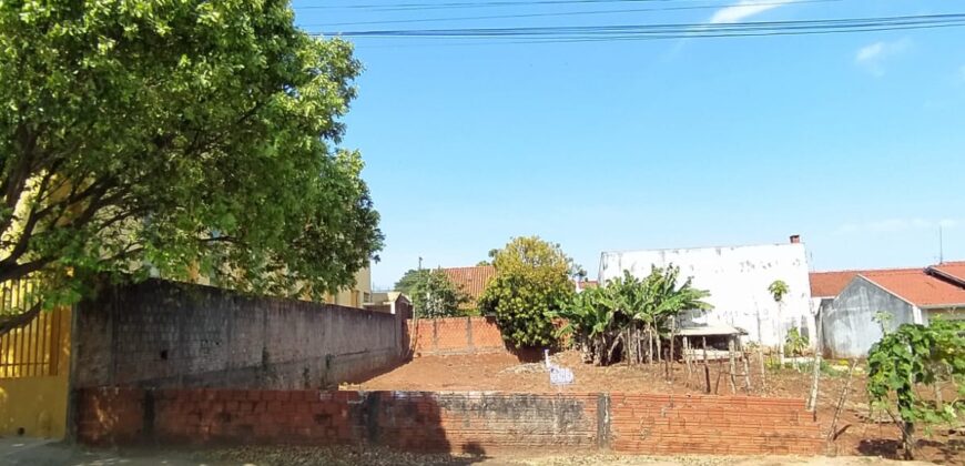 JARDIM DAS GREVILHAS – AVENIDA CORUJA – CIANORTE/PR