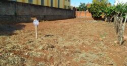 JARDIM DAS GREVILHAS – AVENIDA CORUJA – CIANORTE/PR