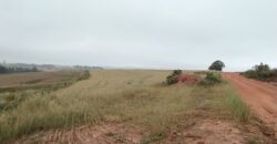 6 ALQUEIRES – ESTRADA RODEIO – CIANORTE/SÃO TOMÉ