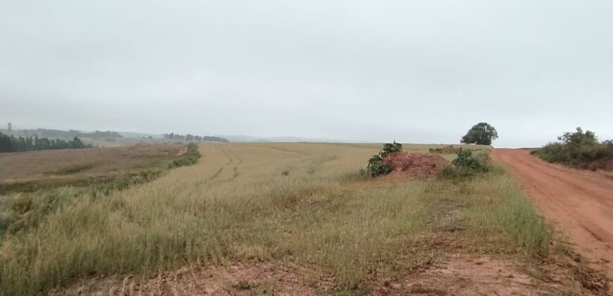 6 ALQUEIRES – ESTRADA RODEIO – CIANORTE/SÃO TOMÉ