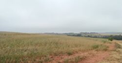 6 ALQUEIRES – ESTRADA RODEIO – CIANORTE/SÃO TOMÉ