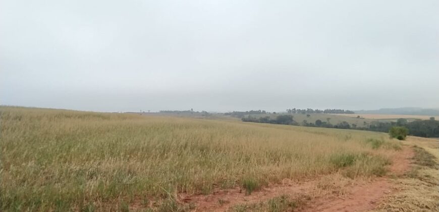 6 ALQUEIRES – ESTRADA RODEIO – CIANORTE/SÃO TOMÉ