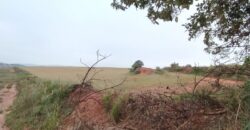 6 ALQUEIRES – ESTRADA RODEIO – CIANORTE/SÃO TOMÉ