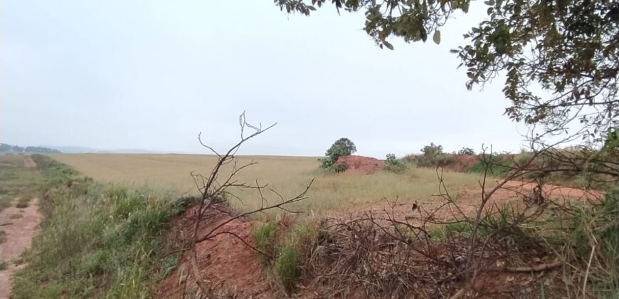 6 ALQUEIRES – ESTRADA RODEIO – CIANORTE/SÃO TOMÉ