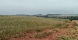 6 ALQUEIRES – ESTRADA RODEIO – CIANORTE/SÃO TOMÉ