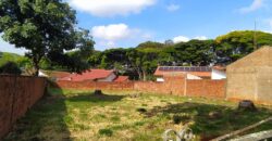 ZONA 02 – CIANORTE/PR