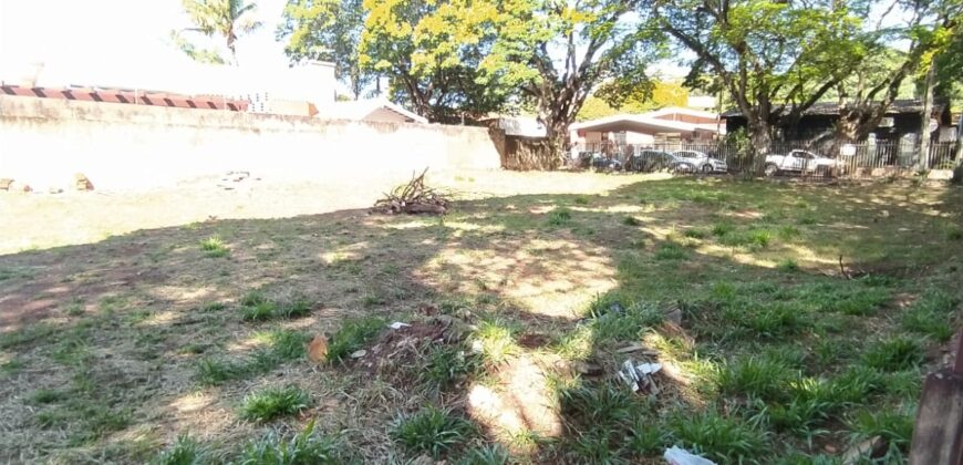 ZONA 01 – CIANORTE/PR