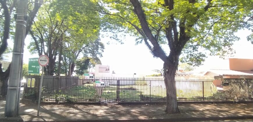 ZONA 01 – CIANORTE/PR